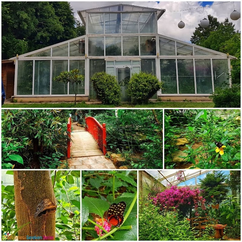 Istanbul Butterfly Farm