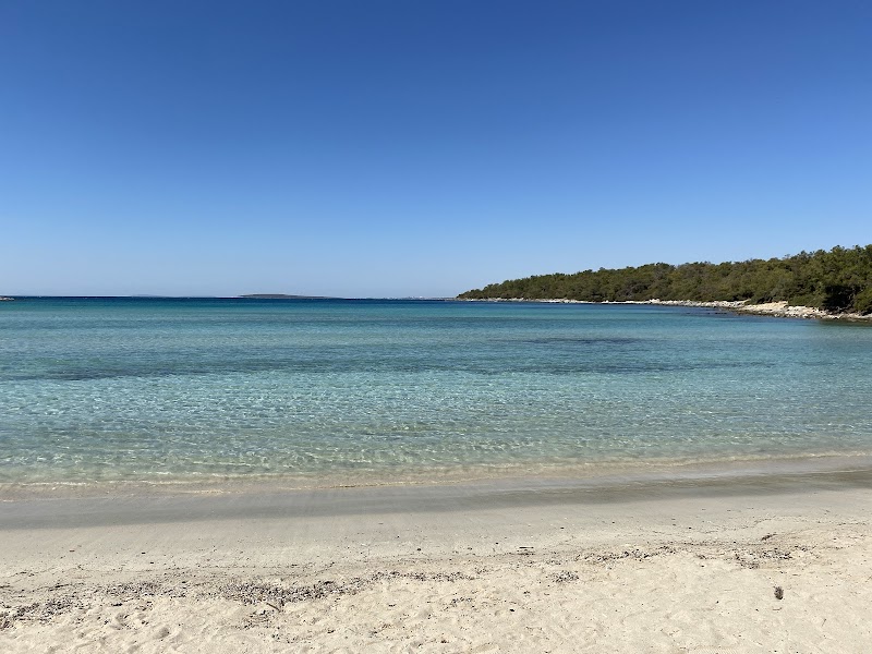 Haydar Cove