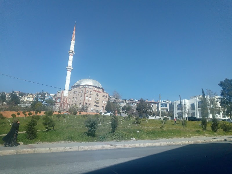 Bornova