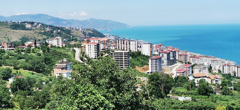 2 Nolu Beşirli