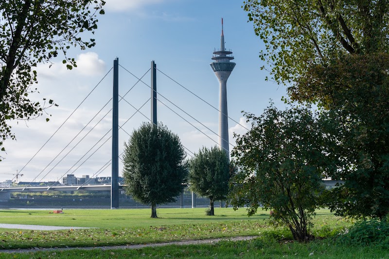 Rhine Tower