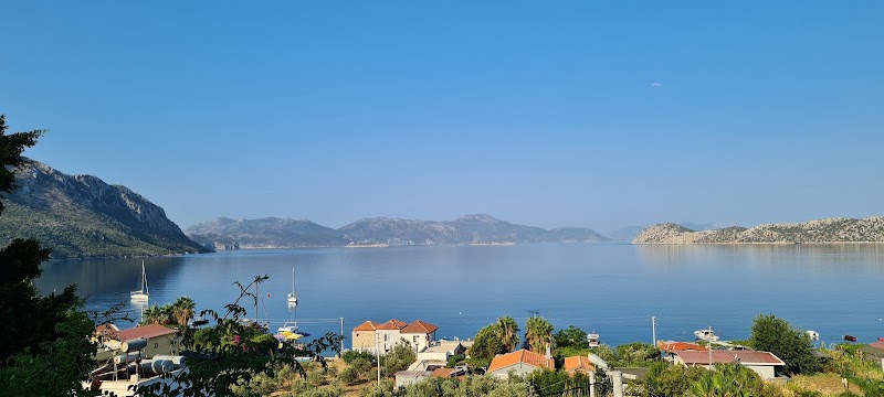 Sögüt