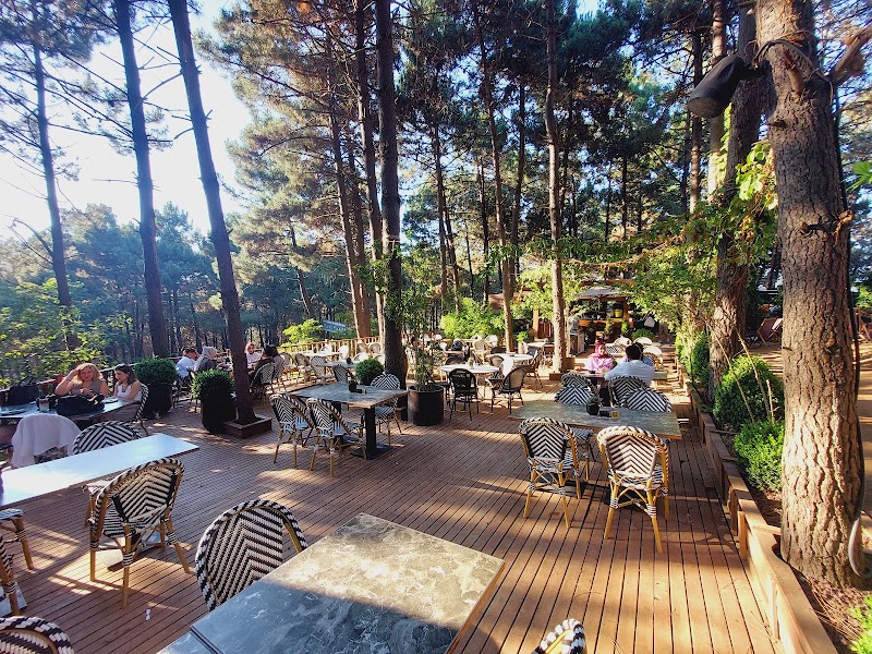 Geyikli Restaurant