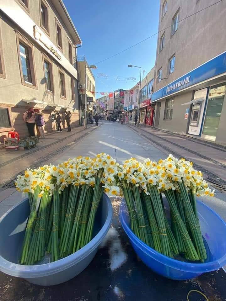 Ayvalık