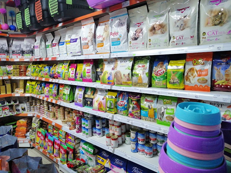 Mavi Pet Shop