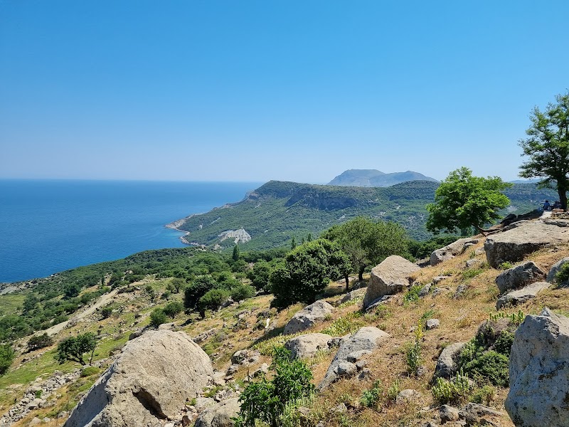 Tepeköy Çınaraltı
