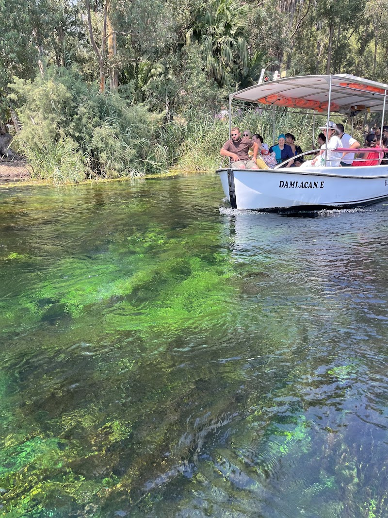 Akyaka Azmak Nehri