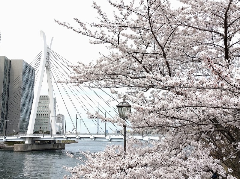 Sumida River
