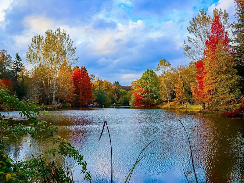 Ataturk Arboretum