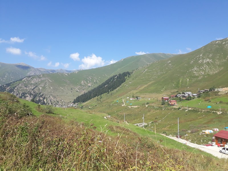 Mount Haldizen