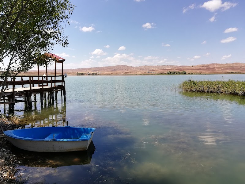Hafik Gölü