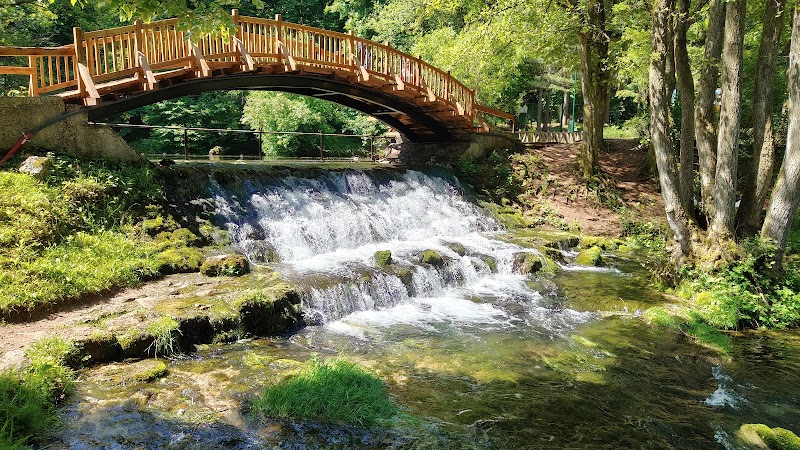 Spring of the river Bosna