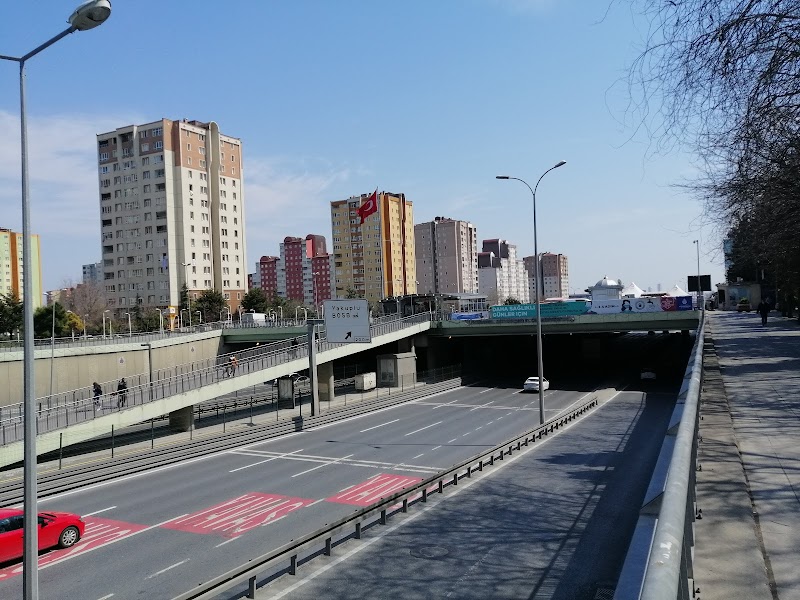 Avcılar