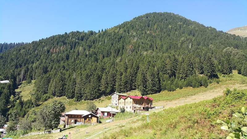 Ayder Yaylası Yolu