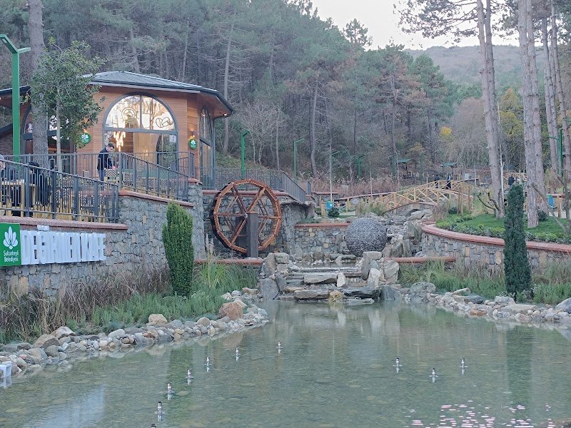 Değirmen Cafe