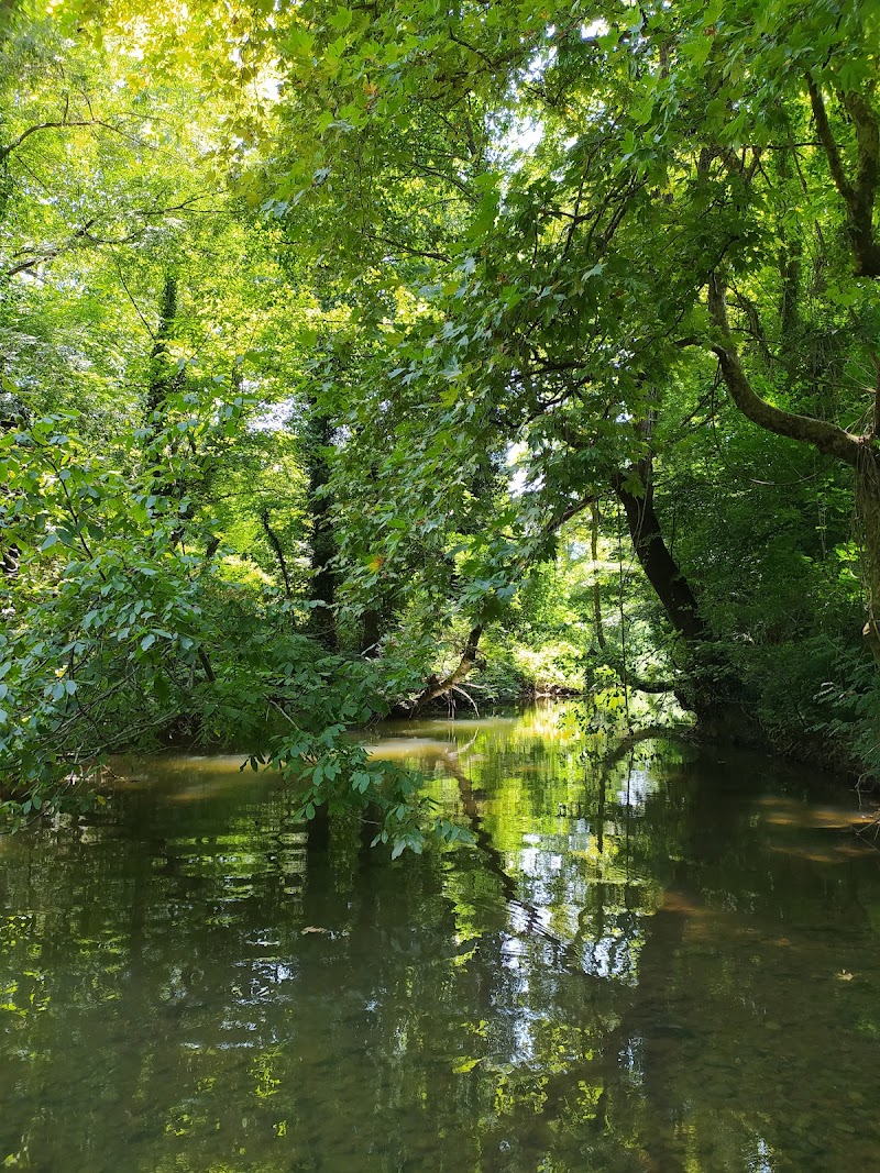 Koca Creek