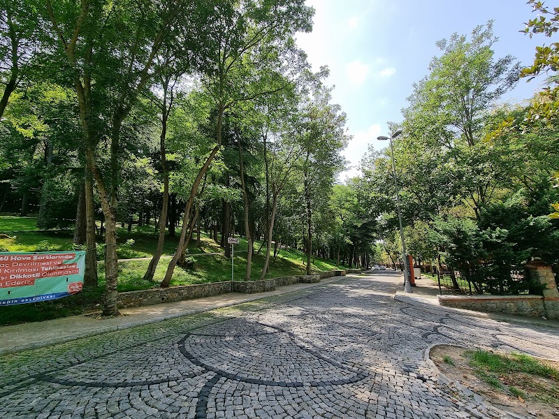 İBB Beykoz Korusu