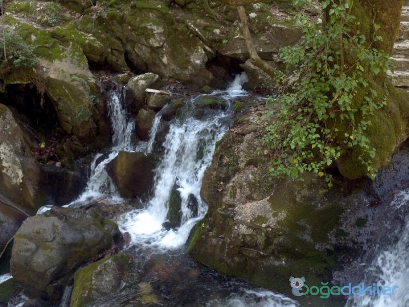 Ayazma Spring Nature Park