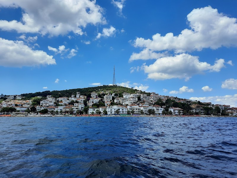 Kınalıada