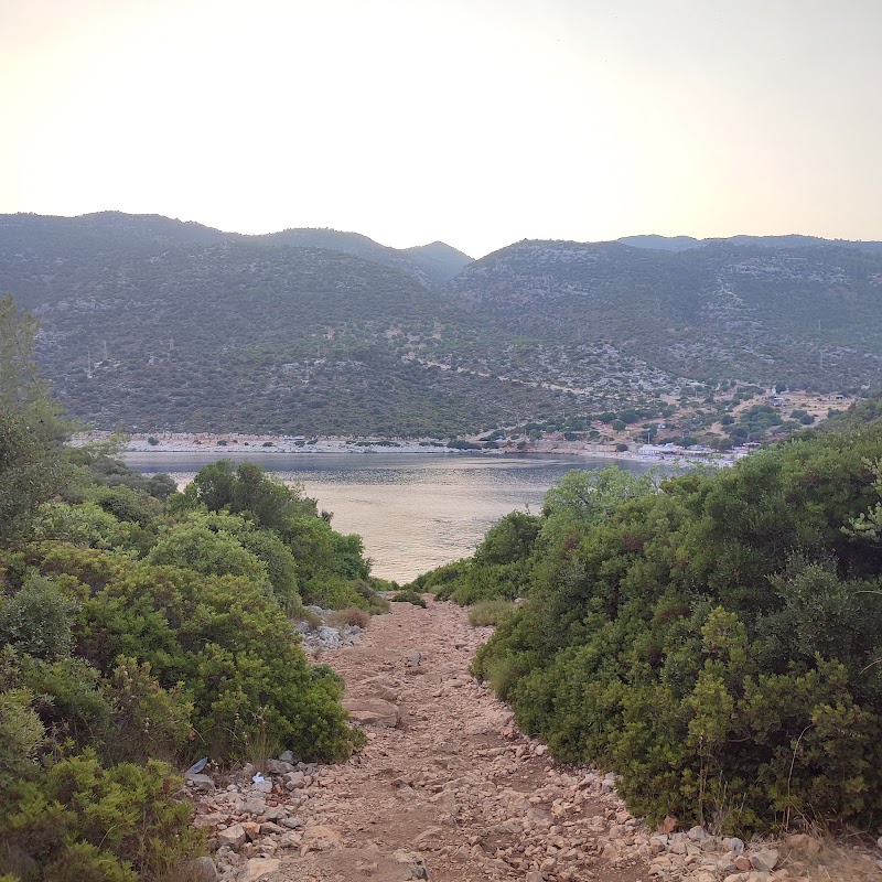 Mendikli koyı