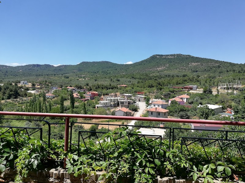 Sazlı Köyü